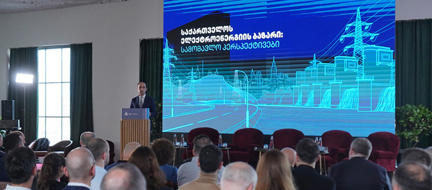Levan Davitashvili at Event “Georgia’s Electricity Market: Future Prospects” - 11.04.2024