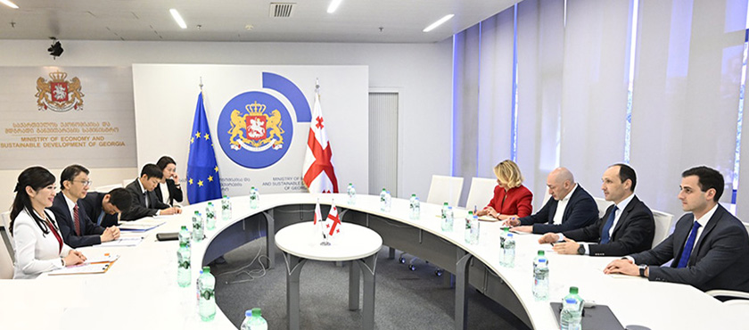ლევან დავითაშვილი იაპონიის საგარეო საქმეთა საპარლამენტო ვიცე-მინისტრს იოშიკავა იუმის შეხვდა - 4.05.2023